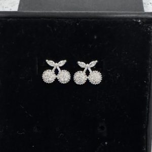 AROS DE PLATA ARP221